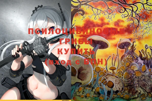 сатива Кодинск