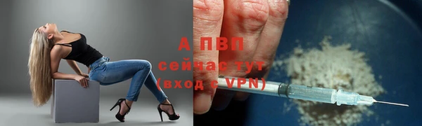сатива Кодинск