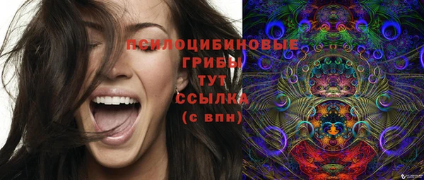 сатива Кодинск