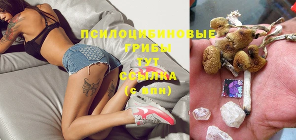метадон Козельск