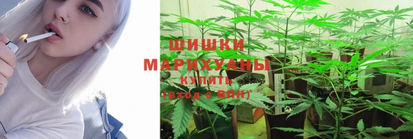 метадон Козельск